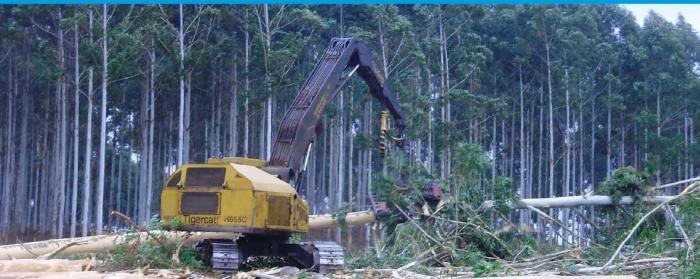 Curso de manejo de maquinaria forestal