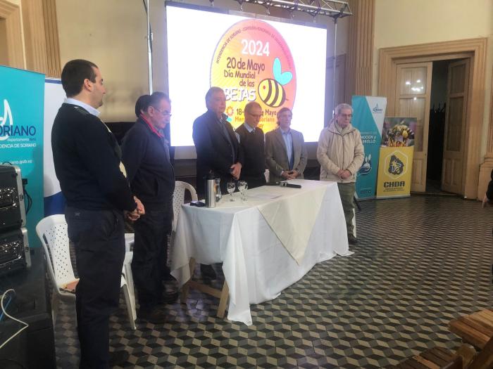 diaabejas beeday2024