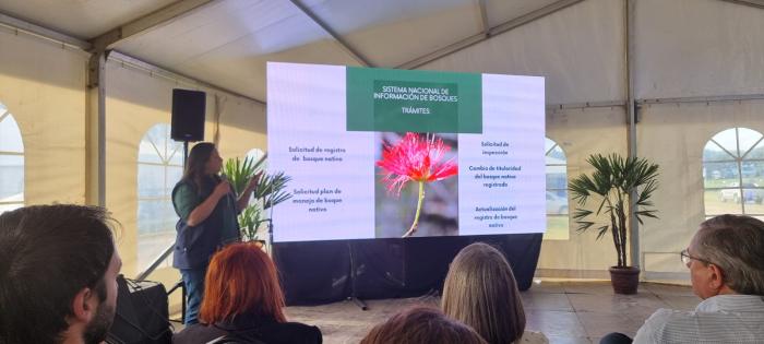 Uruforest 2024: Presentan el Sistema Nacional de Información de Bosques "