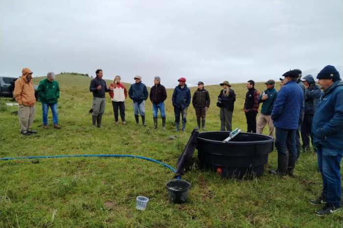 ite vertientes ite vertientes