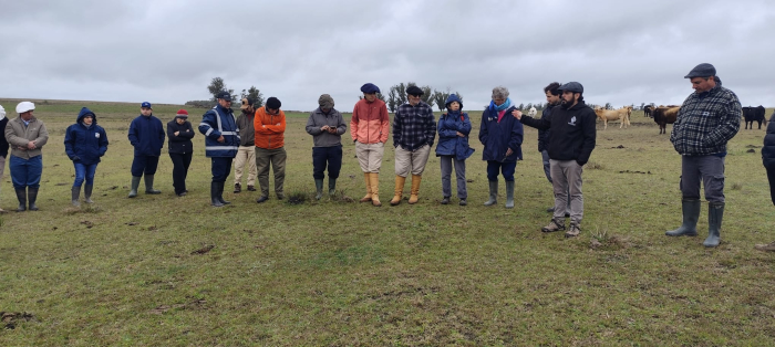 Proyecto de rehabilitación de campos naturales presentó avances y resultados finales