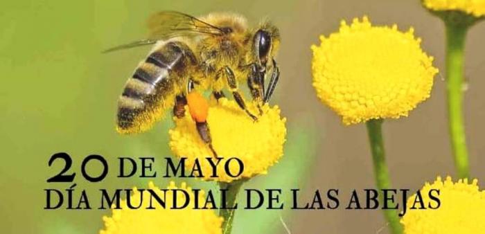 Día Mundial de las Abejas abejas