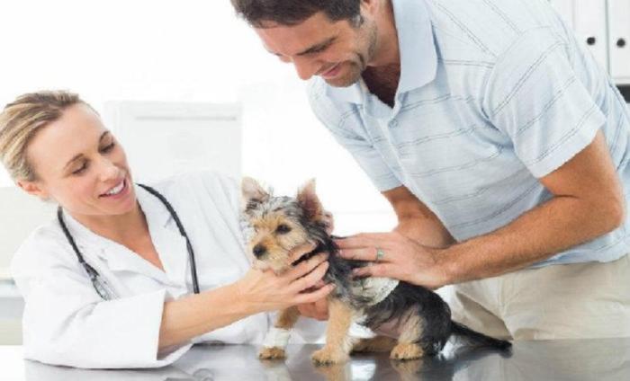Veterinarios