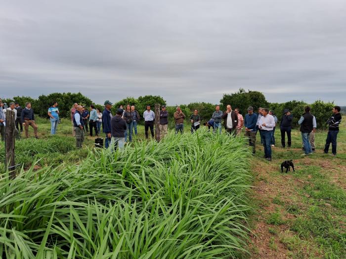 Jornada sobre riego muestra avances del proyecto “Regando la ganadería del norte” Jornada sobre riego muestra avances del proyecto “Regando la ganadería del norte”