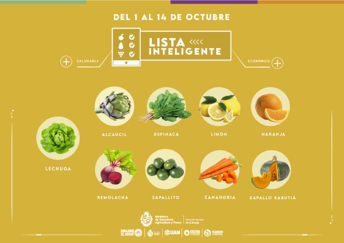 Lista inteligente OCT Lista inteligente OCT