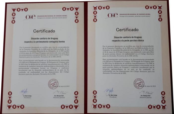 certificado OIE