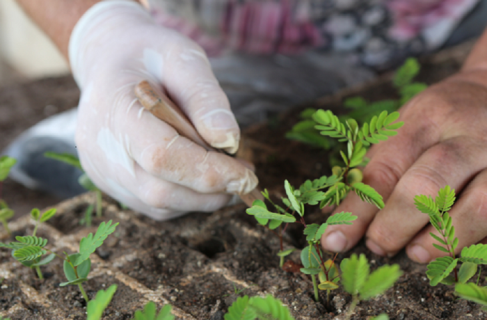 Agroecología Agroecología