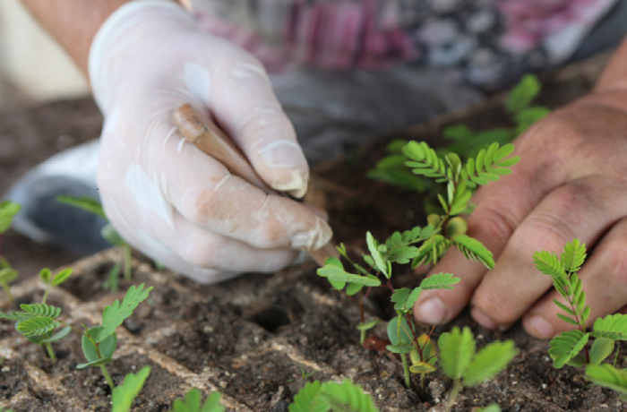 Agroecología