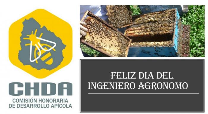 dia ing agro dia ing agro