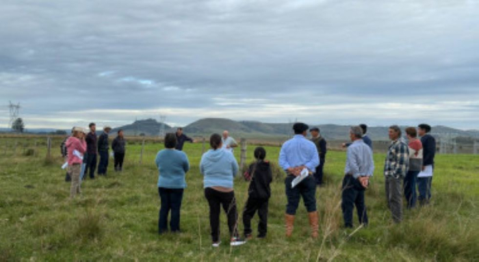 establecimiento pachamama de Tacuarembó