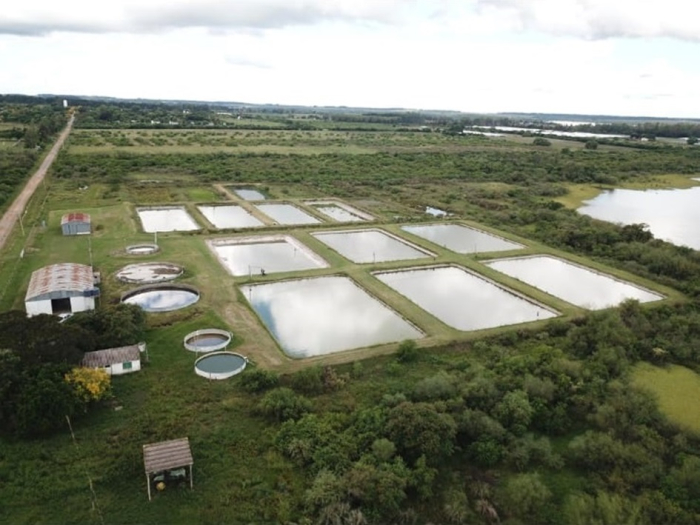 piletas de acuicultura