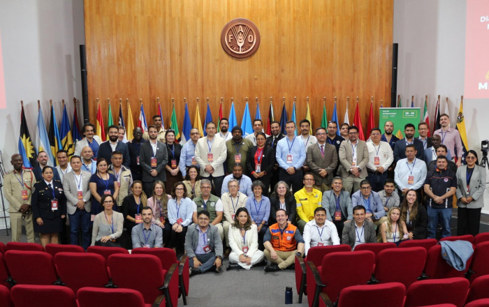 Taller internacional