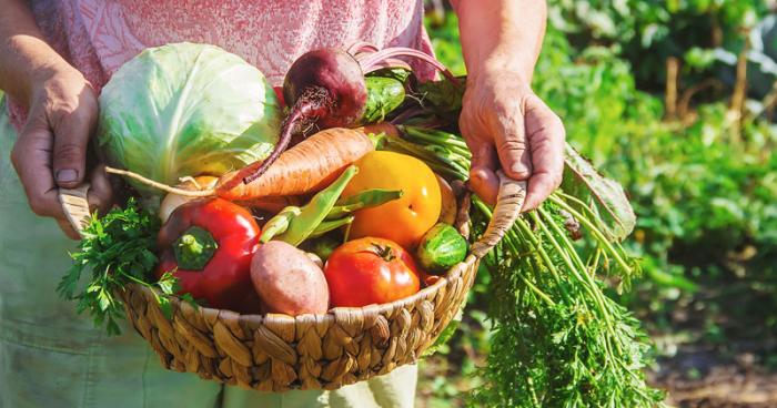 Seguridad Alimentaria en Uruguay 