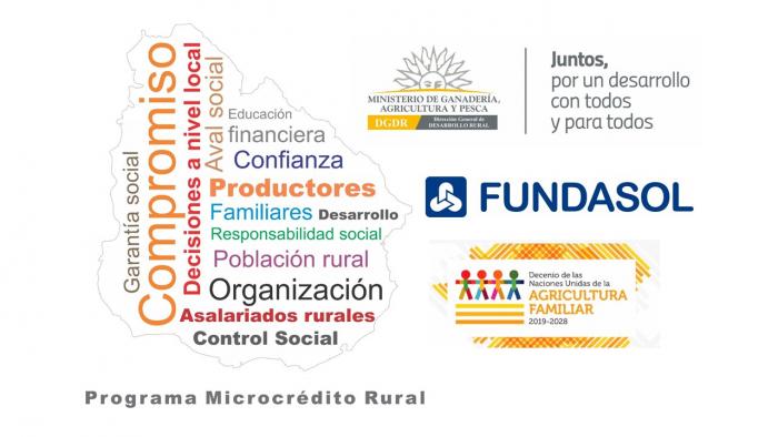 Gráfica Microcrédito Rural Gráfica Microcrédito Rural