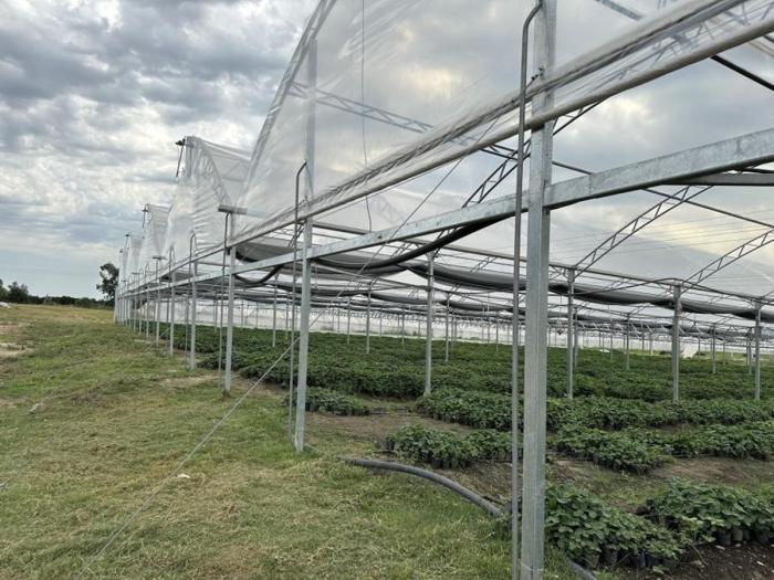 Modernización de la Producción Hortícola Bajo Protección Modernización de la Producción Hortícola Bajo Protección
