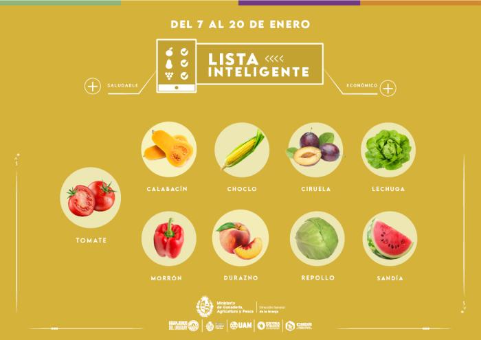Lista inteligente ENE