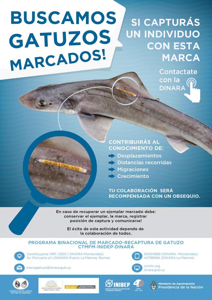 Afiche marcado de gatuzo Marcado de gatuzo