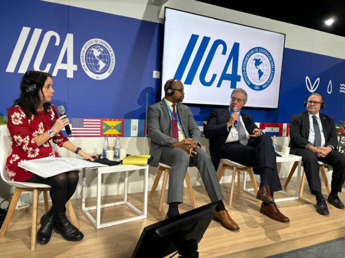 COP29
