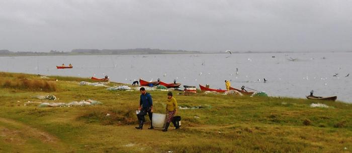 Pesca de camarón en lagunas del Este