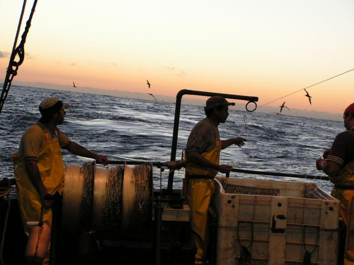 pesca en popa