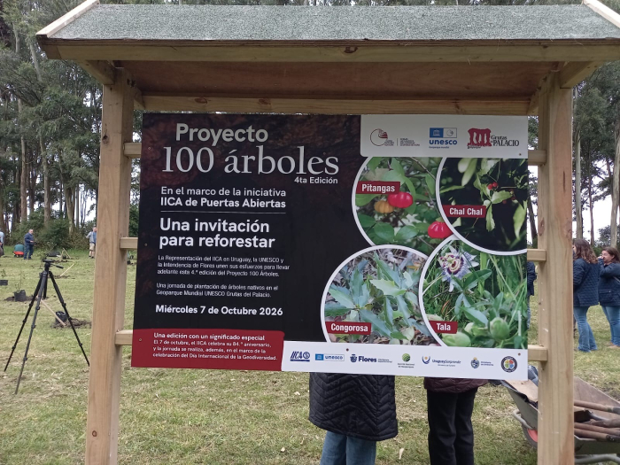 proyecto 100 arboles
