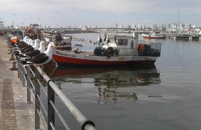 Puerto Punta del Este