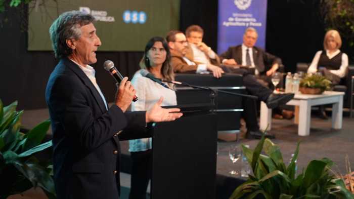presentación de estrategia