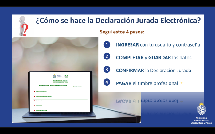 Sigue estos 4 pasos para realizar Declaración Jurada Electrónica