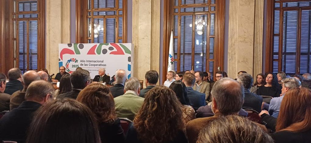 comite año cooperativas