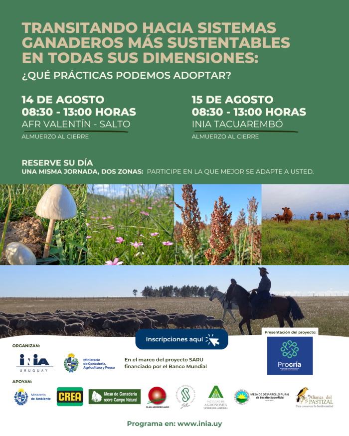 actividad