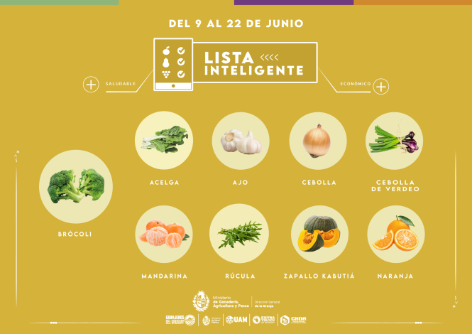Lista inteligente JUN Lista inteligente JUN