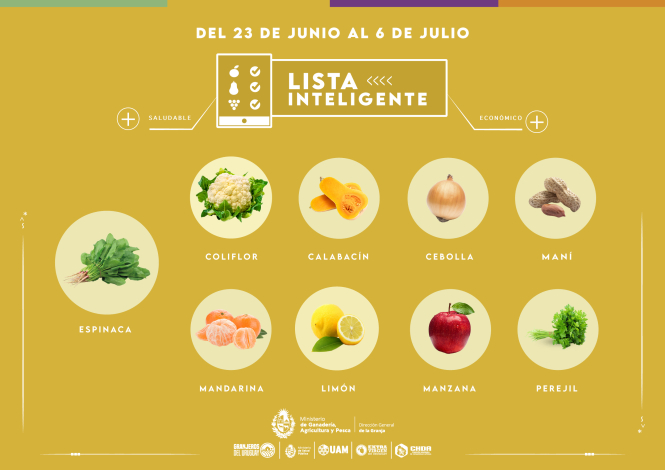 Lista inteligente JUN Lista inteligente JUN