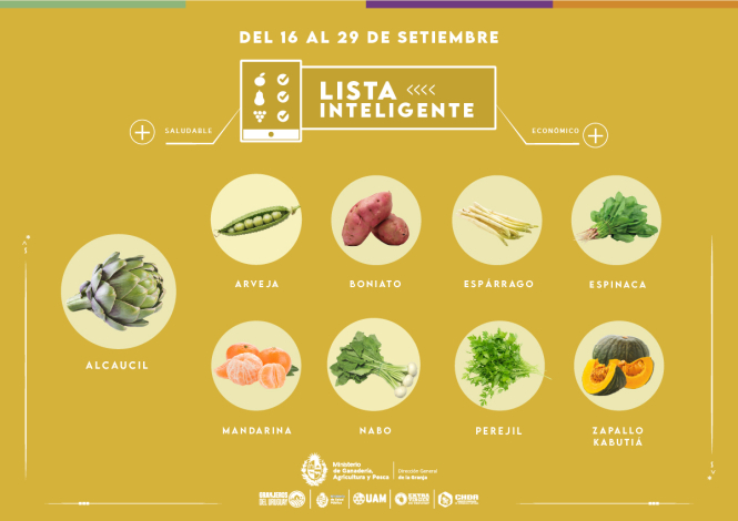 Lista inteligente SET