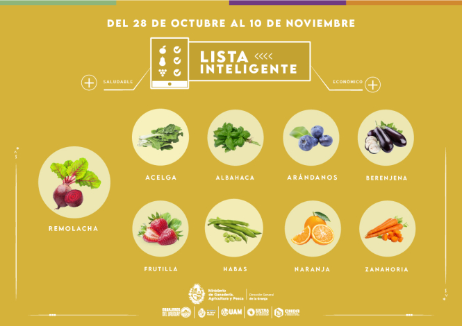 Lista inteligente OCT Lista inteligente OCT
