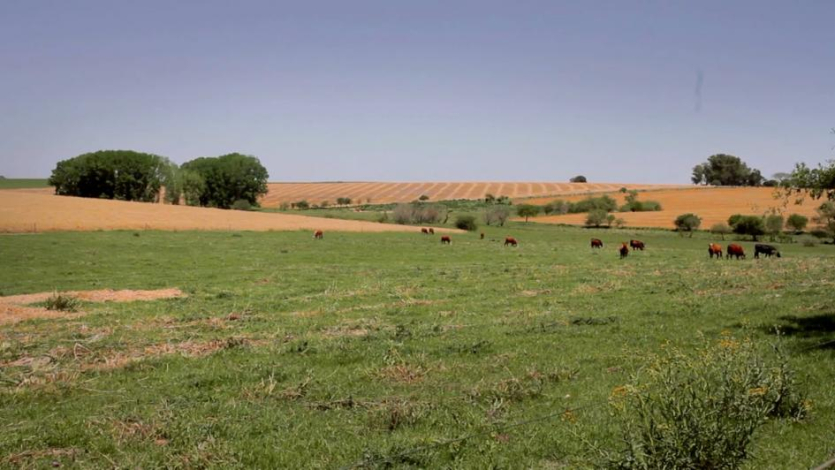 2 de Setiembre – Día Nacional de la Conservación de Suelos