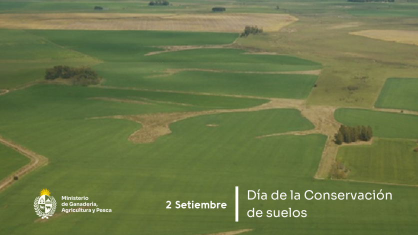 Día conservación del suelo