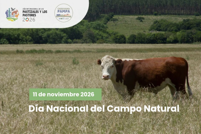 Campo Natural Campo Natural