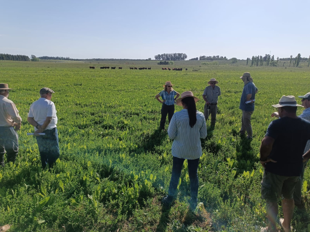 predio SAE Flores  predio SAE Flores