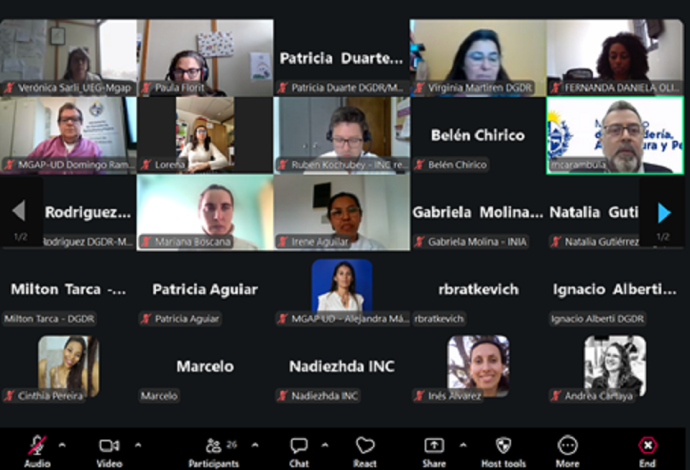Talleres de sensibilización y prevención del racismo Talleres de sensibilización y prevención del racismo
