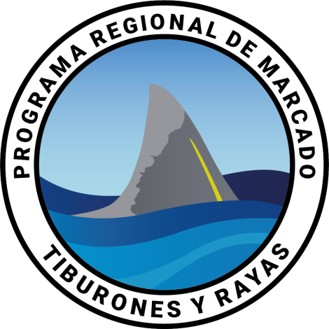 Programa regional de marcado de tiburones y rayas