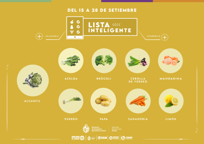 Lista inteligente | SET