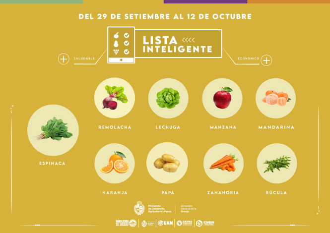 Lista inteligente | SET