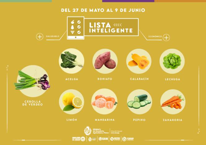 Lista inteligente MAY