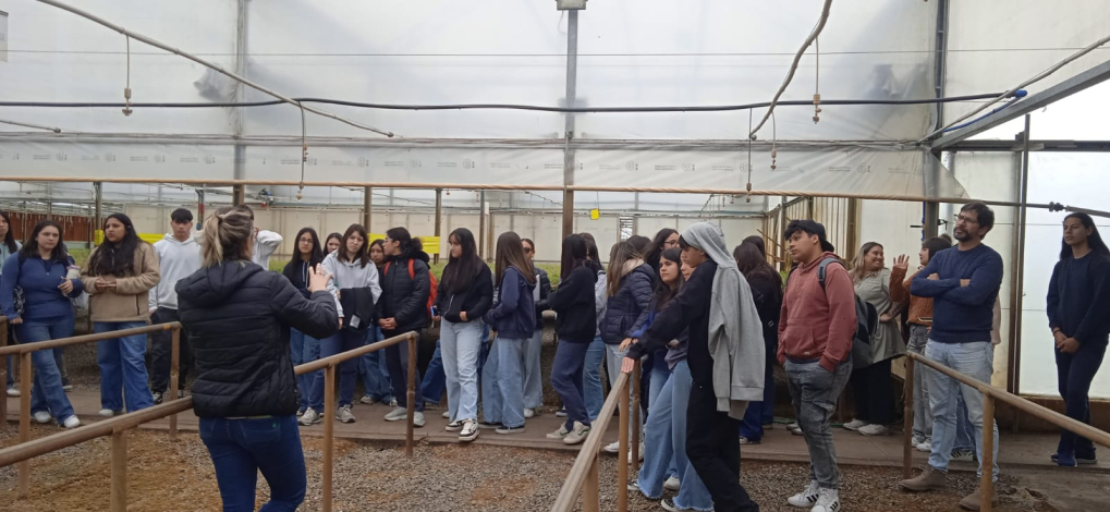 Proyecto Porteras Abiertas