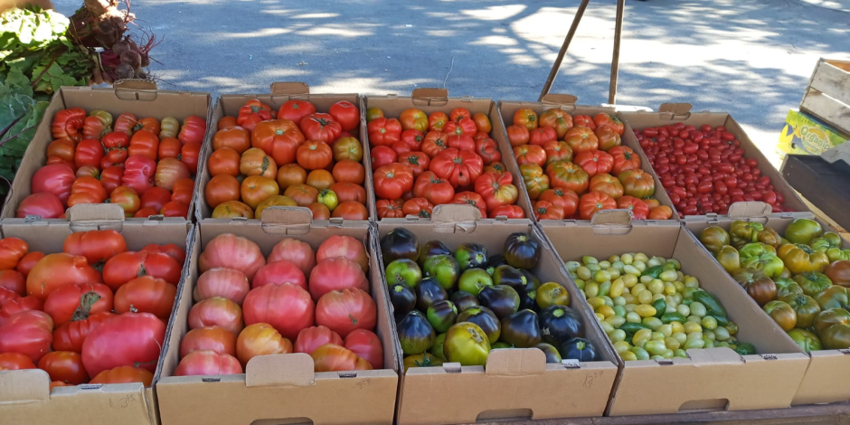 agroecologia