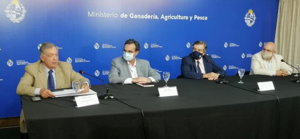 Conferencia de prensa