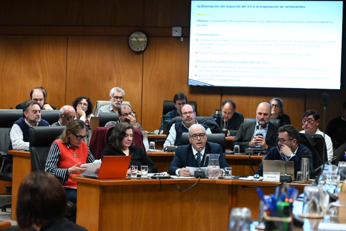 Ley de Presupuesto en Diputados