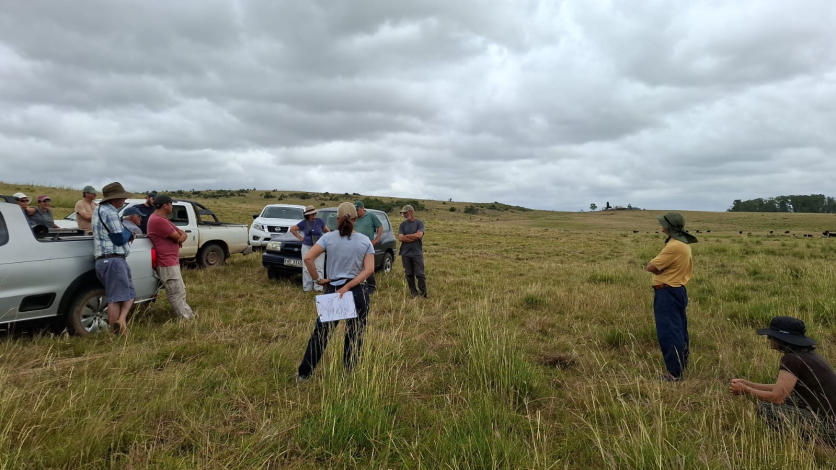 SAE cerro largo SAE cerro largo