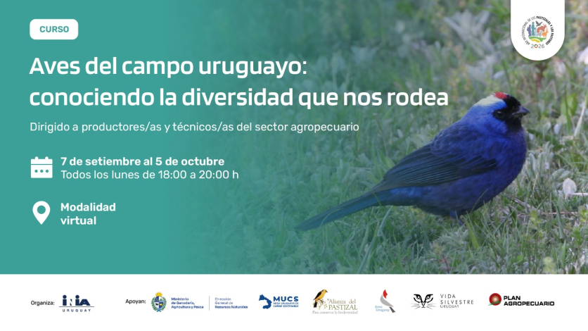 Aves curso Aves curso
