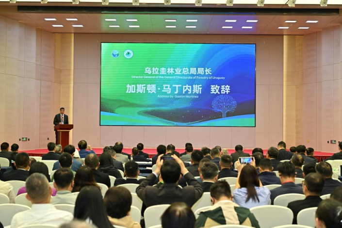 Congreso Forestal en China